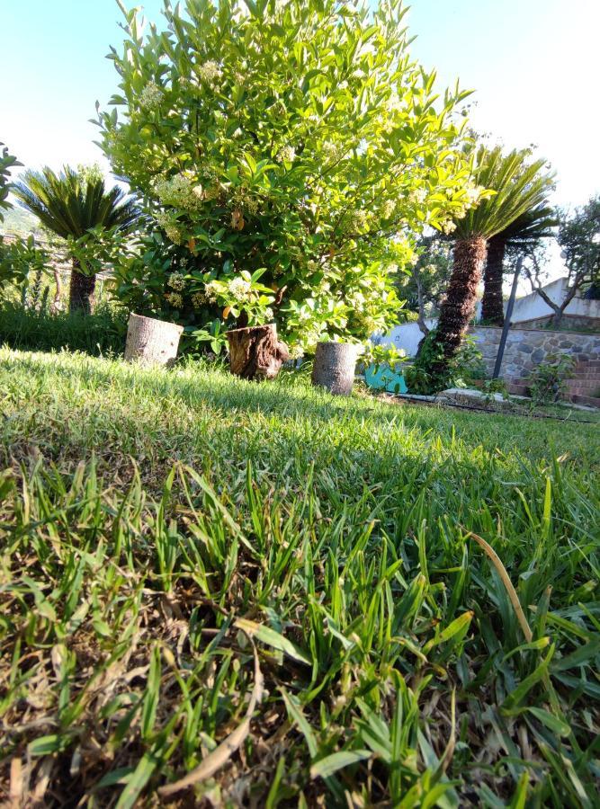 Villa Martino Apartments Cefalù Dış mekan fotoğraf